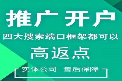 探索SEM托管公司经典案例：助力企业快速成长