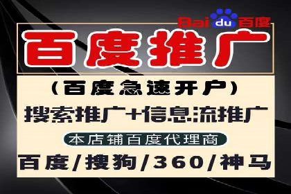 高效百度推广案例解析及优化策略